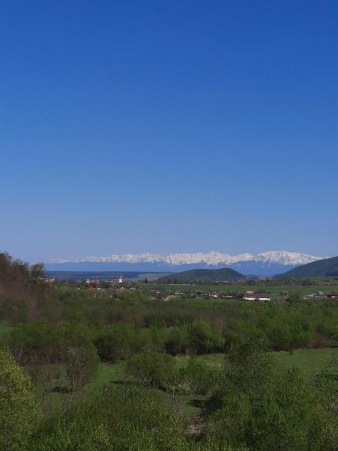 Pensiune Marginimea Sibiului Orlat Exterior photo