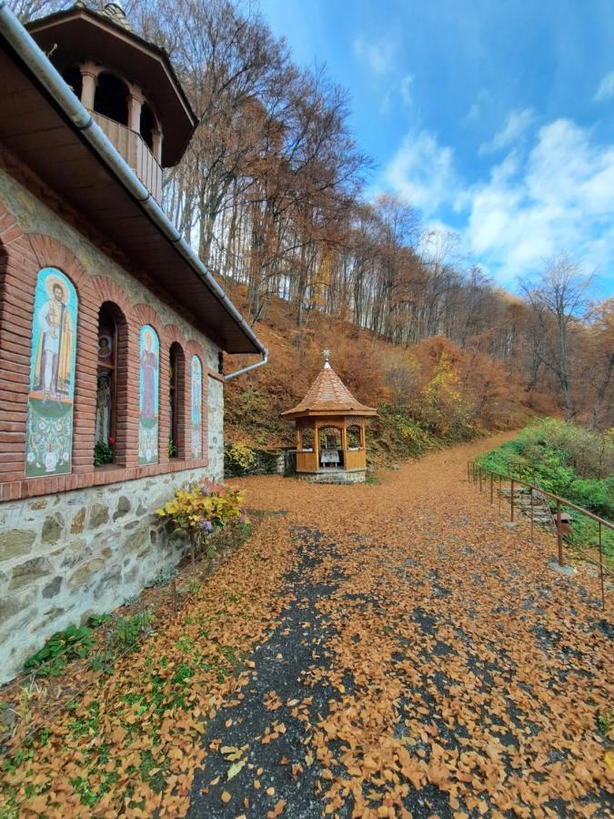 Pensiune Marginimea Sibiului Orlat Exterior photo