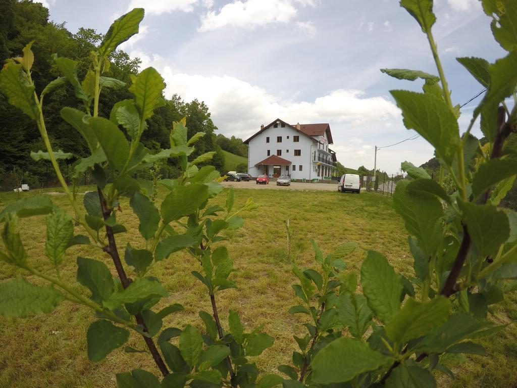 Pensiune Marginimea Sibiului Orlat Exterior photo