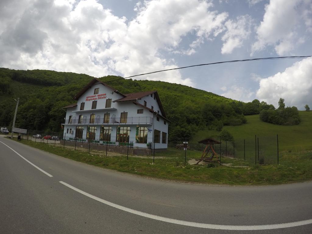 Pensiune Marginimea Sibiului Orlat Exterior photo