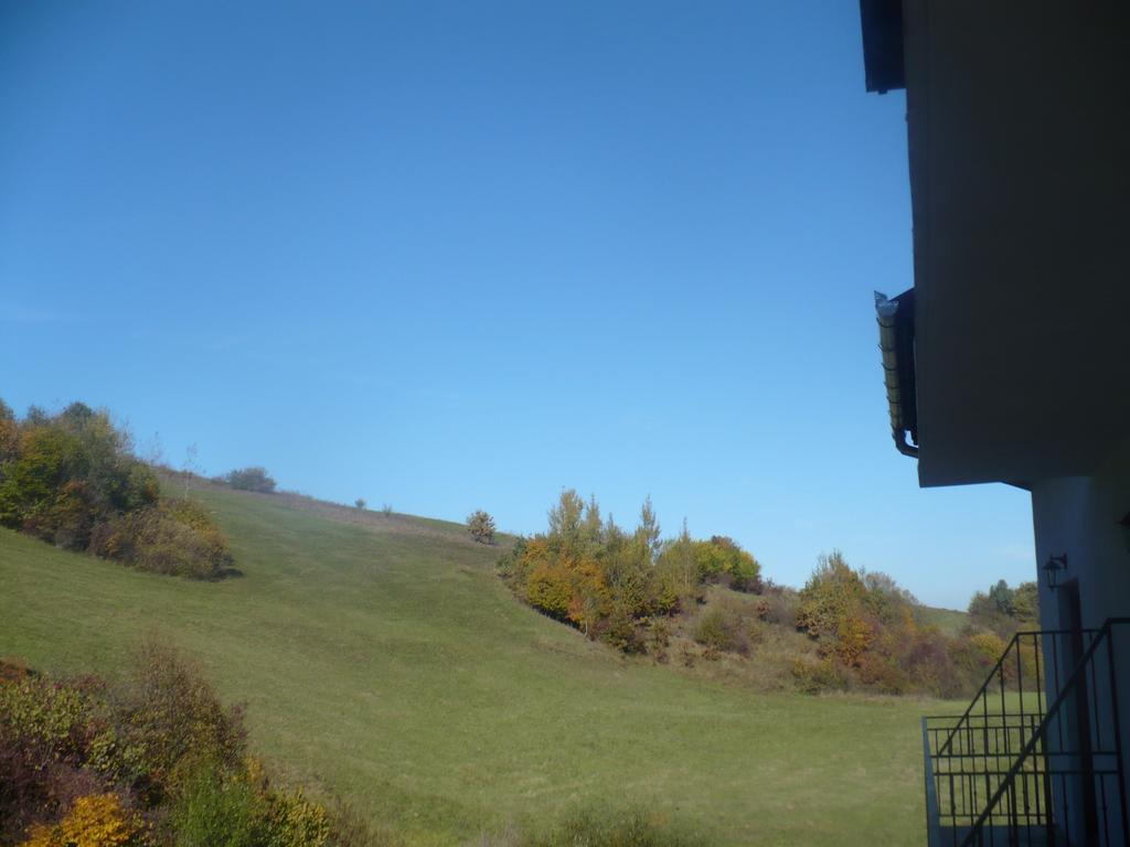 Pensiune Marginimea Sibiului Orlat Exterior photo
