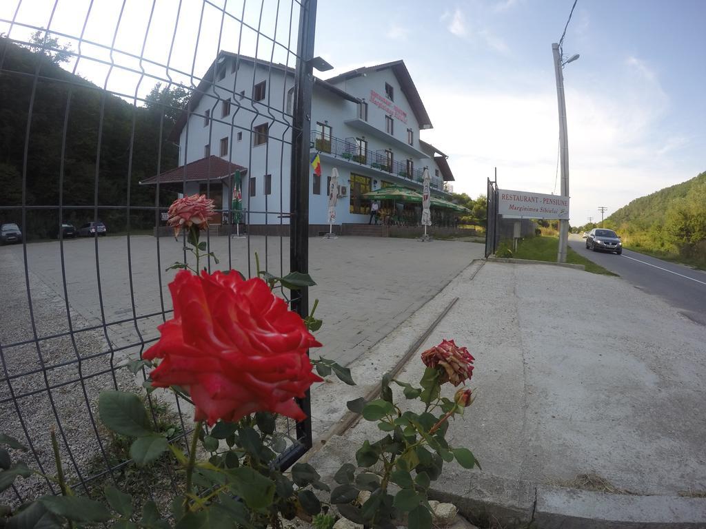 Pensiune Marginimea Sibiului Orlat Exterior photo